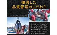 本マグロ（養殖）トロ＆赤身セット 500g ／ まぐろ 刺身 鮪 本鮪 クロマグロ 赤身 中とろ  冷