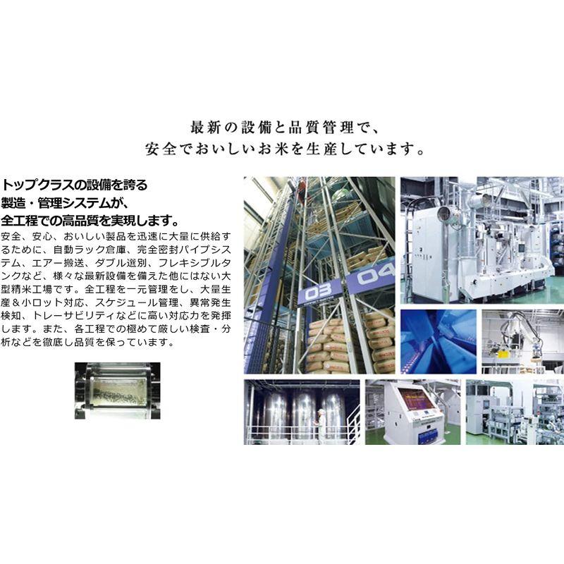 精米青森県産 青天の霹靂 5? 令和4年産