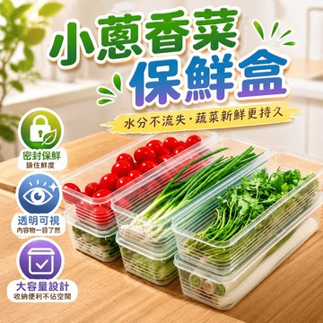 冰箱收納盒 蔬果收納盒 蔥蒜收納盒 香菜收納盒 麵條盒 雞蛋收納盒 冰箱整理 備菜收納 廚房備料