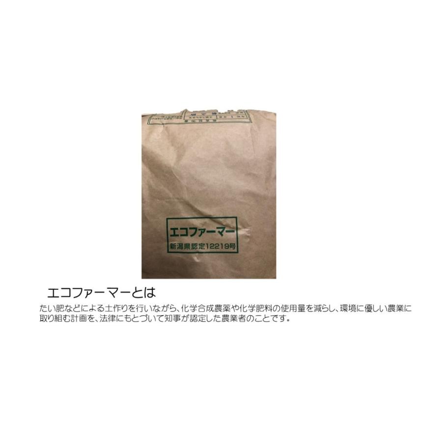 お米 玄米 2kg 5年産 新潟産 新之助