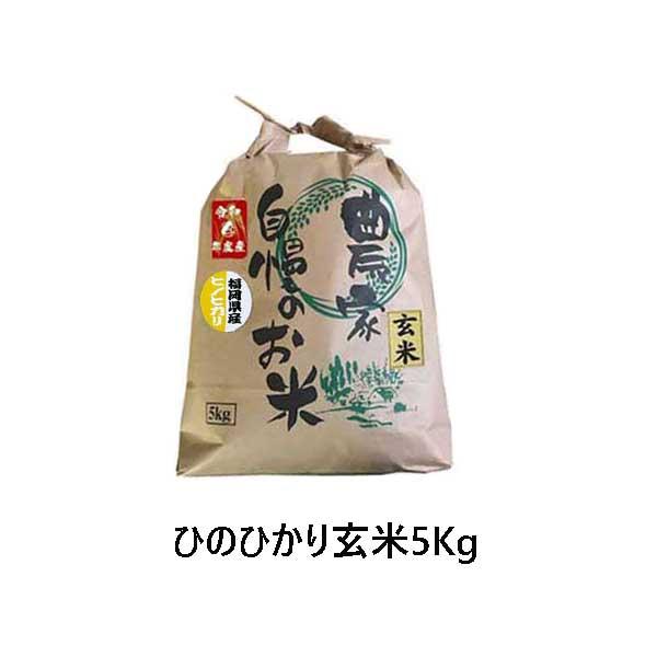 ひのひかり  玄米  5kg ]　令和5年産　福岡県産　農家直送　送料無料　新米