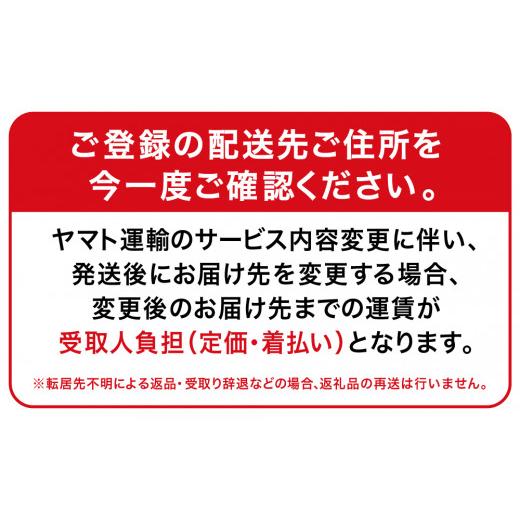 ふるさと納税 鹿児島県 南さつま市  マイスター山野井の炭焼き焼豚とハムの詰め合わせ（4種） チャーシュー 焼き豚 生ハム ロースハム  ギフ…