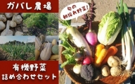 ガバレ農場の季節の有機野菜詰め合わせセット