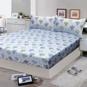 Victoria  柔絲絨單人二件式床包組-仙人掌(快洗易乾)