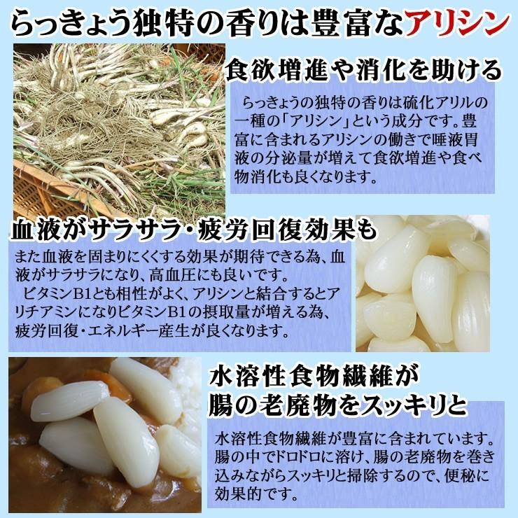 砂丘らっきょう 二十世紀梨酢漬け 300ｇ らっきょう漬け同士は同梱可能 鳥取県福部町産ラッキョウ 常温