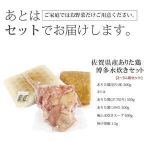 ふるさと納税 博多水炊き（ありた鶏切り身・つみれ）セット 2〜3人前 福岡県大川市