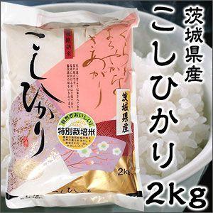 米 日本米 Aランク 令和4年度産 茨城県産 こしひかり 2kg