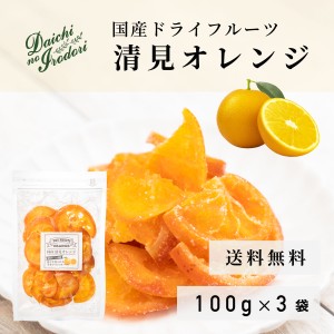 博屋 送料無料 ドライ オレンジ 果実 ドライフルーツ 国産 清見オレンジ 100g x 3袋 チャック袋入り