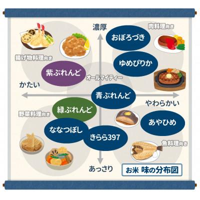 ふるさと納税 旭川市 令和5年産　特別栽培米 あやひめ(白米・玄米)・おぼろづき・ななつぼし・ゆめぴりか(合計16kg)