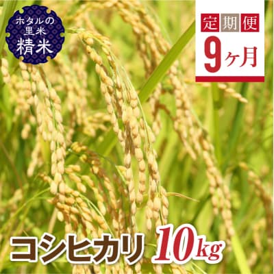 栽培期間中、農薬を減らした栽培米 コシヒカリ精米10kg