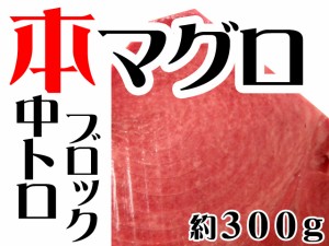 本マグロ（クロマグロ）中トロ約３００ｇブロック(蓄養マグロ)