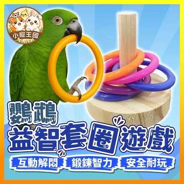 【小寵王國】鸚鵡益智套圈遊戲 鸚鵡套圈玩具 鸚鵡玩具 鳥類益智玩具 鳥類互動玩具 鳥玩具 鳥籠布景 鳥類玩具 鳥用品
