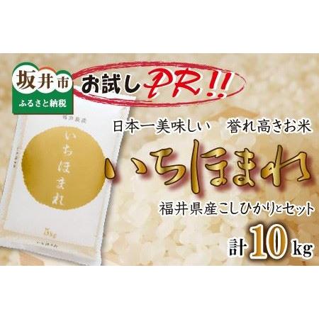 ふるさと納税 福井県産 いちほまれ ＆ コシヒカリ 計10kg 福井県坂井市