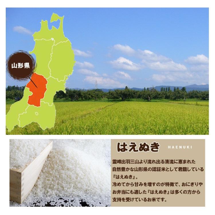 白米 10kg (5kg×2) 山形県産 はえぬき 米 お米 精米済 令和5年（送料無料）