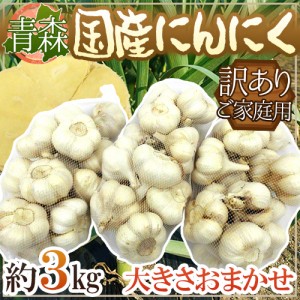 青森県 訳あり ”国産にんにく” 約3kg 大粒六片種にんにく 送料無料