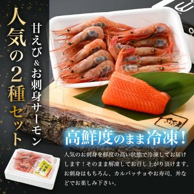 ふるさと納税 越前町 お刺身 セット 甘海老 250g×1P  お刺身 サーモン 100g×1P