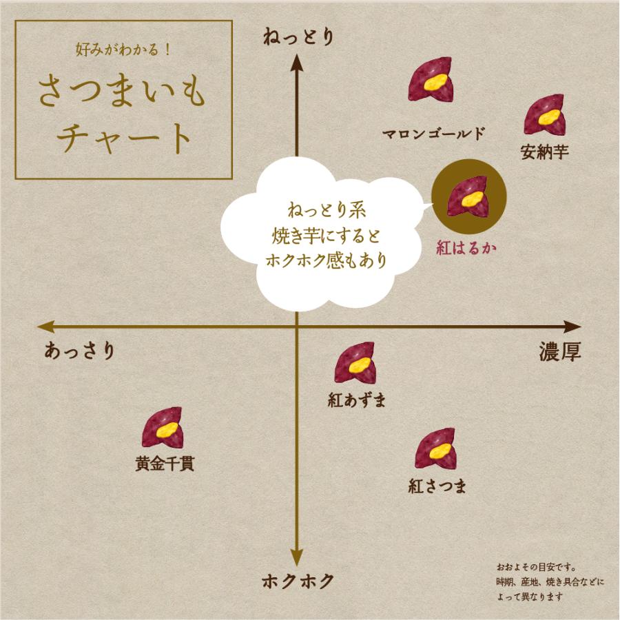 送料無料 有機JAS 鹿児島県産 紅はるか 10kg 有機 有機栽培 お芋 焼き芋 焼芋 さつまいも セット ご当地 グルメ  ギフト 大容量 特産品 産地直送 野菜