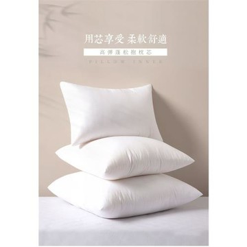 F8H五星級抱枕芯內膽羽絲絨沙發靠墊芯45 50 60正方形大靠背床頭