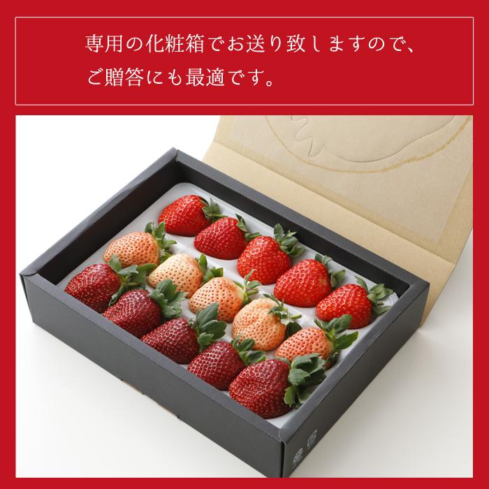 1月〜2月分予約 減農薬 愛媛産 いちご 紅白 詰め合わせ 400g 12〜18粒 化粧箱入 苺 イチゴ 産地直送 あまおとめ あまえくぼ 紅ほっぺ 紅い雫 淡雪