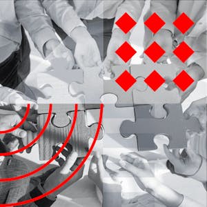 Parte 4: Construyendo Organizaciones Sólidas