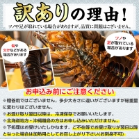 ＜訳あり＞朝獲れ発送！鮮魚問屋が厳選した氷締め伊勢海老(2尾・総量1kg以上)