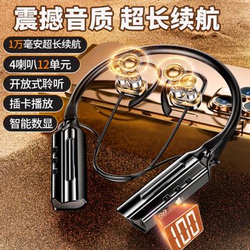 (免運)德國柏林之音藍牙耳機2025新款不入耳頸掛脖式降噪AI聲控