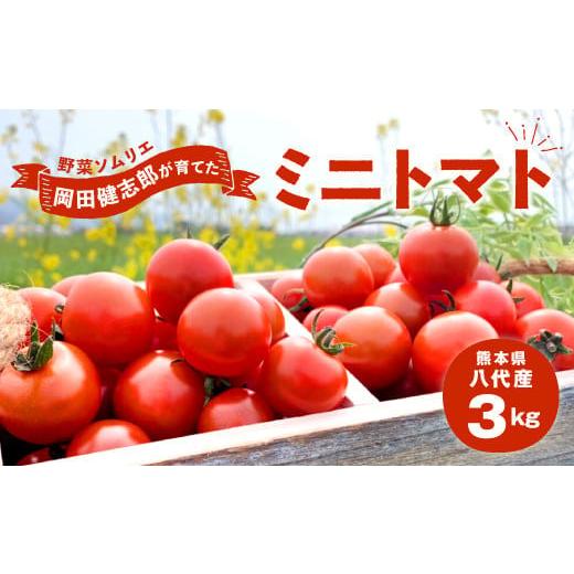 ふるさと納税 熊本県 八代市 野菜ソムリエ岡田健志郎が育てた ミニトマト 3kg