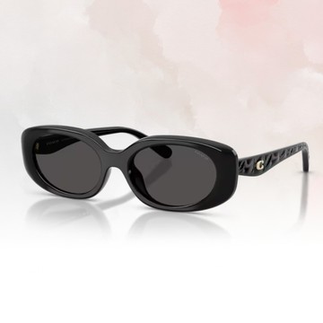 【COACH】方形膠框太陽眼鏡(HC8443D-500287)