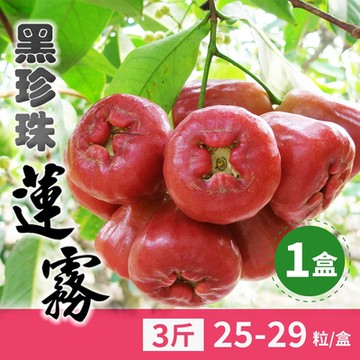 【家購網嚴選】屏東林邊黑珍珠蓮霧-小果3斤禮盒(約25-29顆/盒)