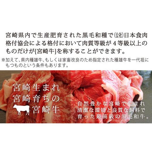 ふるさと納税 宮崎県 美郷町 こま肉 600g (300g×2パック) 牛肉 小間 冷凍 内閣総理大臣賞受賞 宮崎県産 九州産 送料無料 肉じゃが 牛丼 野菜炒め …