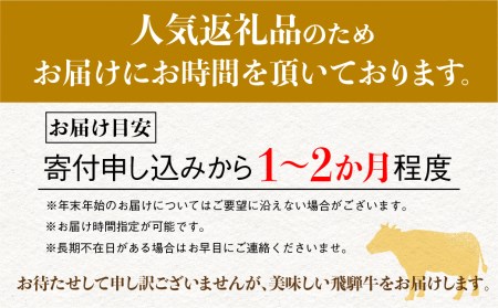 飛騨牛 A5 サーロインステーキ 200g 5枚 ステーキ 黒毛和牛 肉 騨高山 丸明 サーロイン ブランド牛 和牛 TR3738 