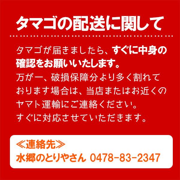 鶏肉 鳥肉 チキン 卵 水郷どり 朝びき朝どりセット もも肉2枚 胸肉2枚 ささみ2本 自然卵 放し飼い自然卵 12個詰（10個＋2個） 送料無料