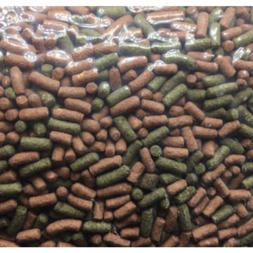 雙色烏龜營養成長飼料1公斤 烏龜飼料 澤龜飼料