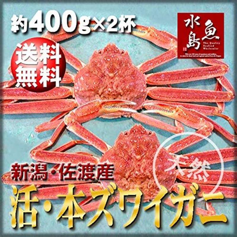 魚水島 活ズワイガニ姿 新潟・佐渡産「活 本ズワイガニ」（生 本ずわい蟹）400g以上 2杯