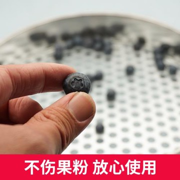 藍莓篩子圓孔篩標準分樣篩大小分級篩選直徑30厘米壞果小果漏篩
