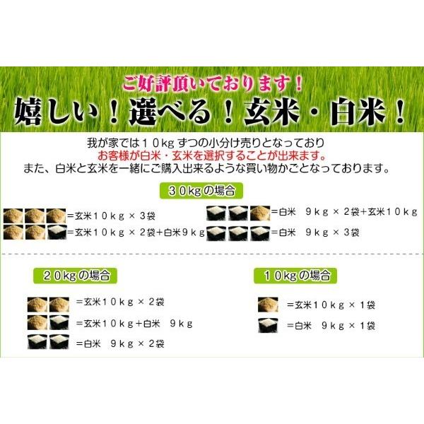 新米　令和５年産　米 20kg 送料無料　秋田県産 減農薬 特別栽培米 あきたこまち 玄米（10kg×2袋） 一等米　お米　白米 18kg