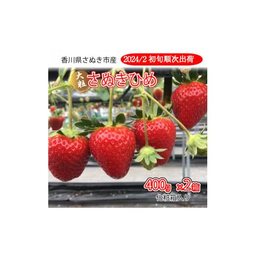 ふるさと納税 香川県 さぬき市 いちご 美味いちご園「さぬきひめ」さぬきひめ 400g 化粧箱 × 2箱 果物 フルーツ 【 苺 ジャム いちごヨーグル…