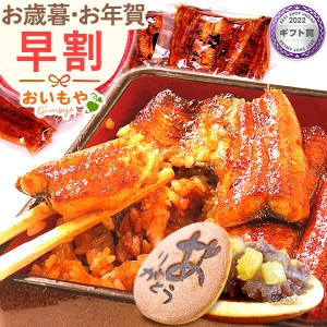 お歳暮 ギフト グルメ 早割 食品 国産 うなぎ 鰻 カット 蒲焼どら焼き セット お取り寄せ スイーツ どら焼き 海鮮 簡易箱 megamori 御歳