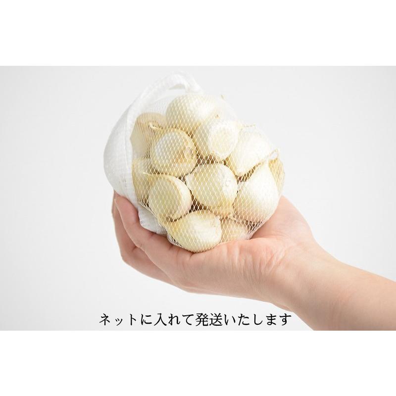 (産直) にんにく 青森県産 こちらは生産者直送のニンニクです 送料無料 バラ 250g 約30片 約5玉分相当 ニンニク 津軽にんにく