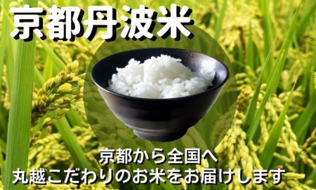 訳あり京都丹波産 きぬひかり 10kg(5kg×2)×6ヶ月 計60kg ※米食味鑑定士厳選 ※精米したてをお届け《コロナ支援 緊急支援 米 令和5年産 新米》 ※北海道・沖縄・離島への配送不可