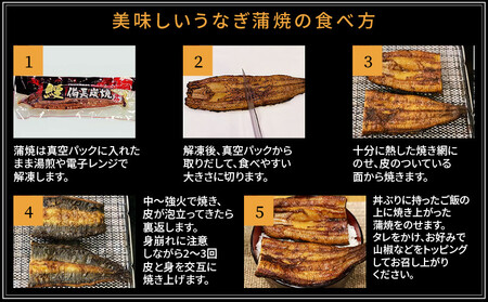 和匠うなぎの備長炭手焼き蒲焼3尾450ｇセット 鰻 ウナギ うなぎ 蒲焼