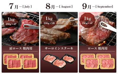 定期便 ≪12ヶ月連続お届け≫ 肉の定期便 肉好き満足！和牛 若狭牛ボリューム満点 厳選プレミアム 食べ比べ計14.6kg以上 [e02-r001]