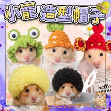 【特別 小寵造型帽子】小寵服飾 倉鼠帽子 鸚鵡帽子 倉鼠裝扮 倉鼠衣服 黃金鼠帽子 倉鼠毛帽 蛇帽子 烏龜帽子 倉鼠帽
