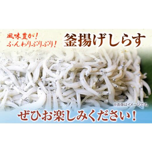 ふるさと納税 和歌山県 日高町 冷凍 釜揚げ しらす 1kg 大五海産《60日以内に出荷予定(土日祝除く)》和歌山県 日高町 釜揚げ しらす 魚 いわし 和歌山県産 送…