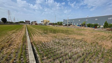 有水有電稻米龍井大排水近百米深農地｜台中市龍井區三德段