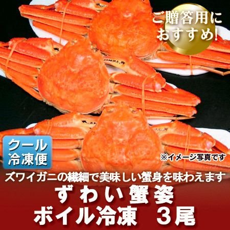 ズワイガニ姿 送料無料 ズワイガニ 姿 ズワイガニ ボイル 1.5kg(500g×3尾) ずわい蟹 ずわいがに ズワイ蟹 姿