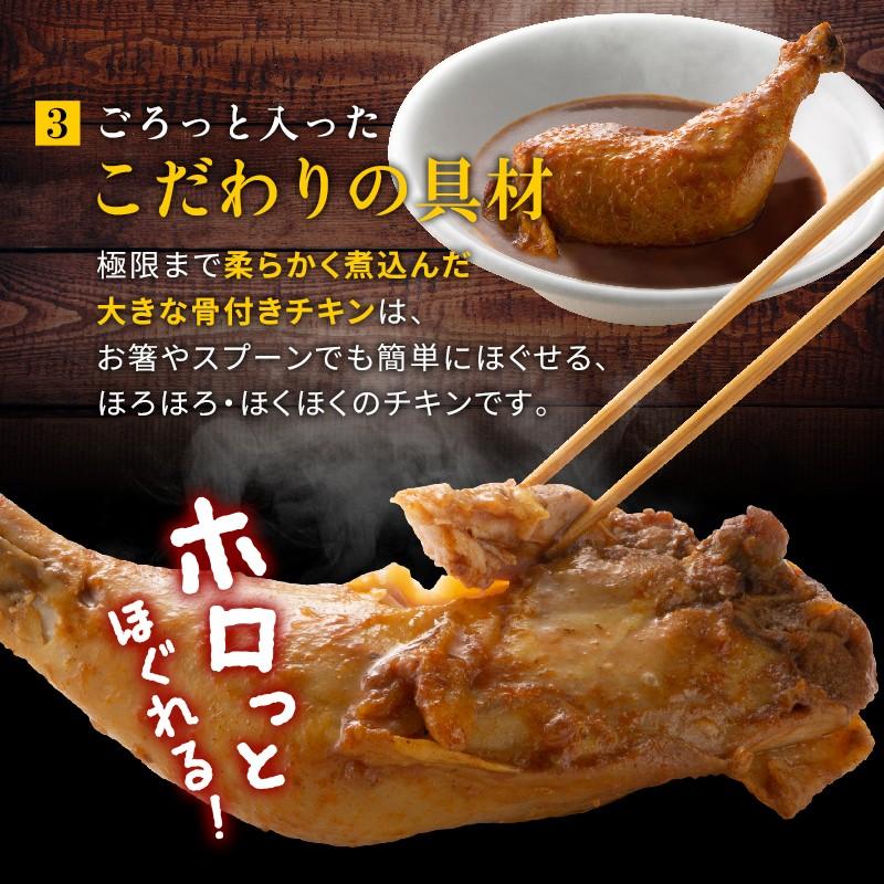 スープカレー レトルトカレー 2食(300g×2袋) 北海道からだ想いのスープカレー グルテンフリー 糖質オフ