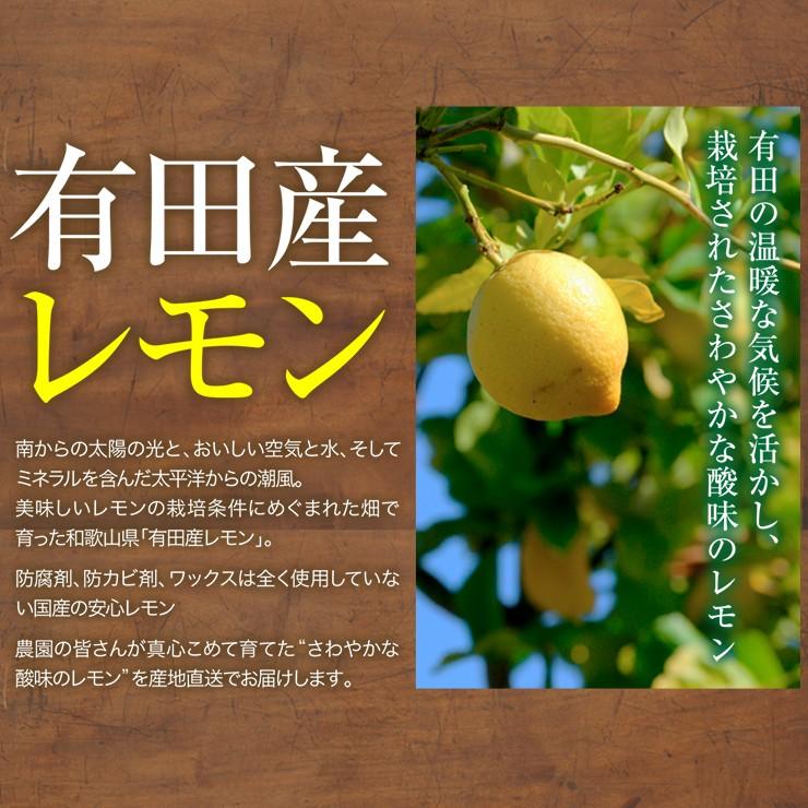 有田産レモン 訳あり 国産 減農薬 レモン 2.0kg 産地直送 和歌山県 2キロ 家庭用 自宅用 箱 買い れもん 訳アリ