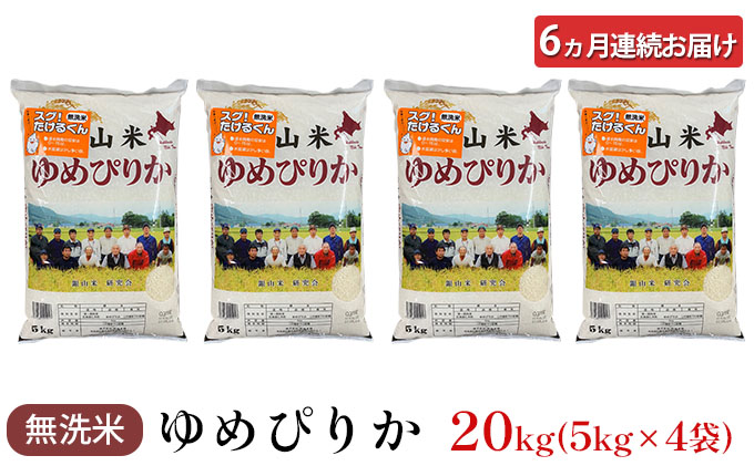 6ヵ月連続お届け　銀山米研究会の無洗米＜ゆめぴりか＞20kg