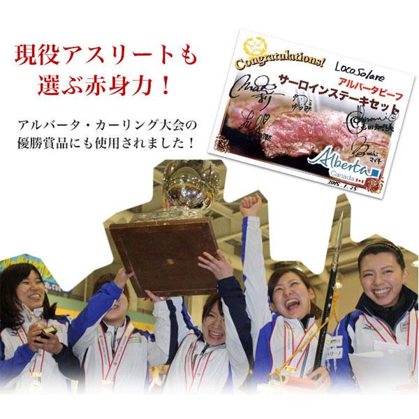 サーロイン ステーキ ステーキ肉 赤身 バーベキュー 熟成肉  夏ギフト 福袋 熟成・厚切りサーロインステーキ（約300ｇ） 中元 帰省 土産